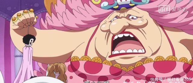 海贼王|万里挑一,海贼王里悬赏最高的五位女海贼,大妈只手遮天!