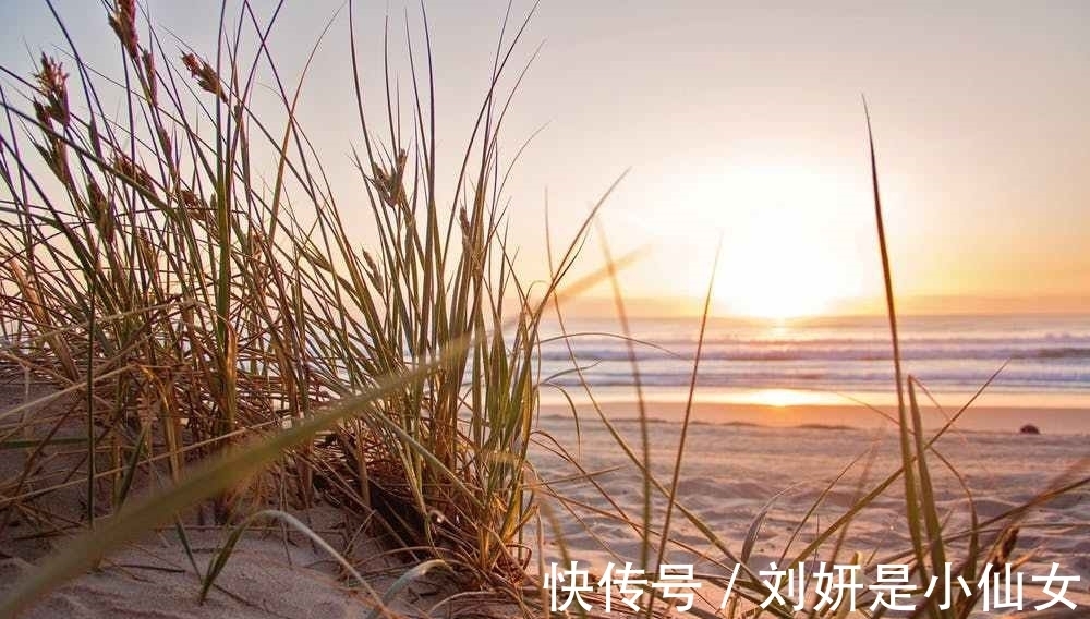 底气$一个人强大的标志:教养