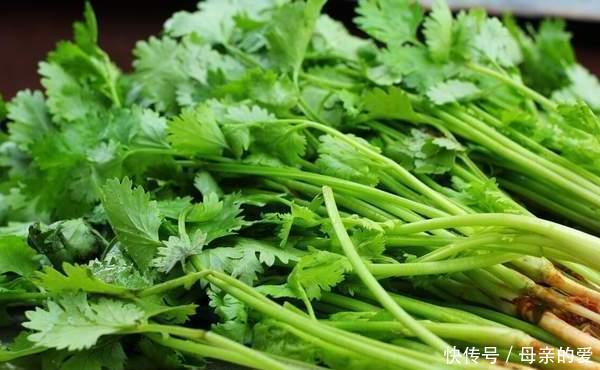 保存香菜不能直接放冰箱,老农教你一招,放久了不发黄也不烂叶