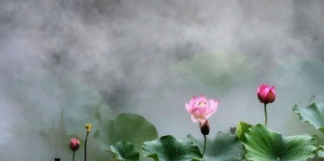 寒食东风御柳斜@史上最著名的一首骂皇帝诗,却因写得水平太高,皇帝都不禁嘉赏!