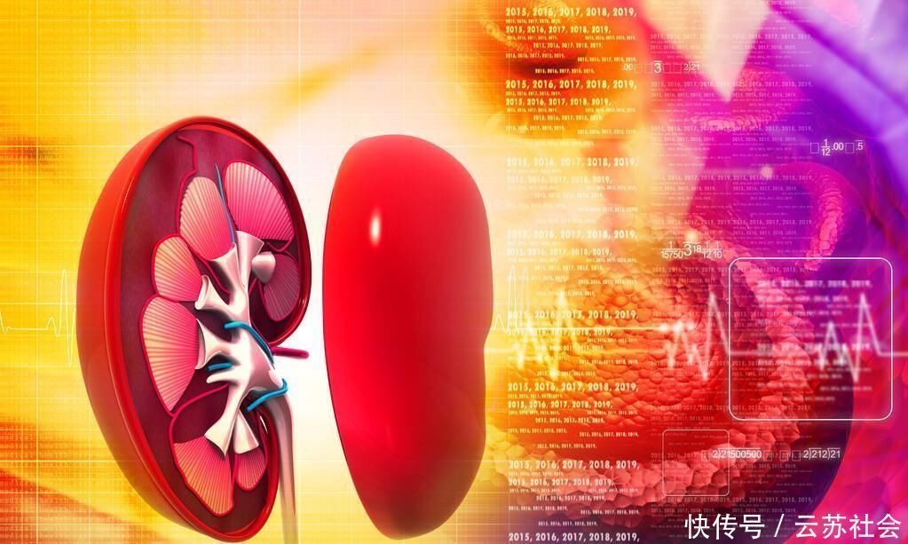 肾脏疾病|肾病久治不愈中医专家留下“小方”,收藏起来