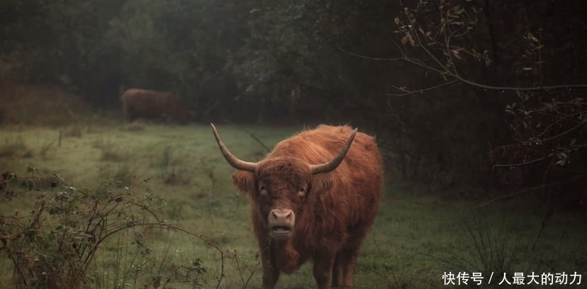 乡村|美图欣赏之中国乡村的美好图景