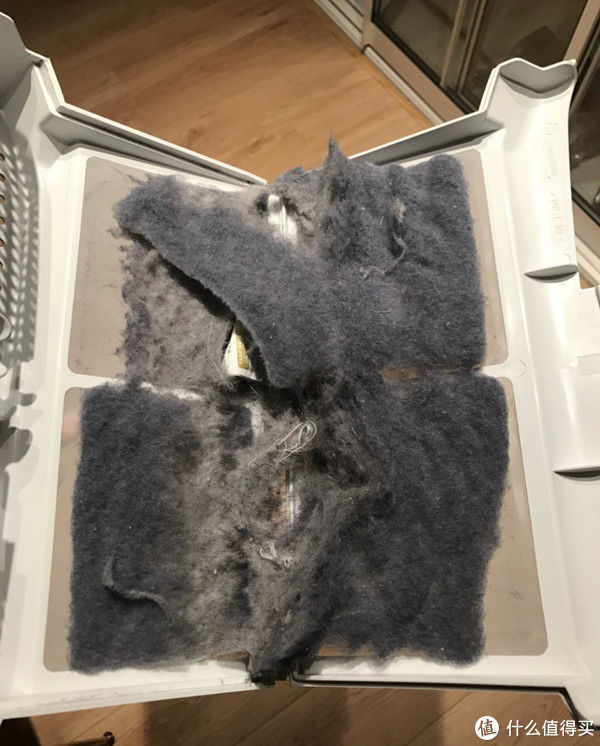 静电|为什么屋子明明是密闭的，家里仍然有很多“毛毛”？该怎么清理？