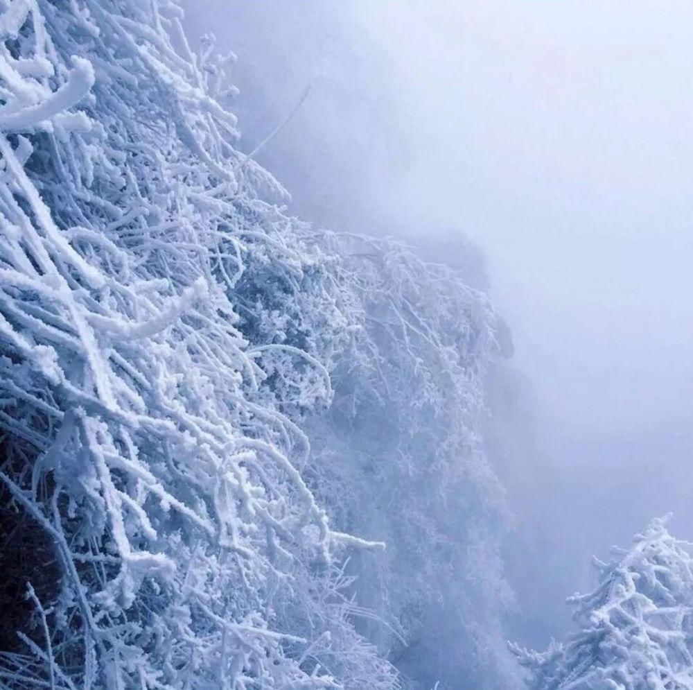 风雪|风雪武当山,仙境藏玄机!大雪封山时,道人、隐士都在干什么!