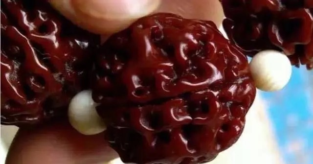 白狮子头|纠结金刚选红皮还是黄皮?其实你根本就不会区分!