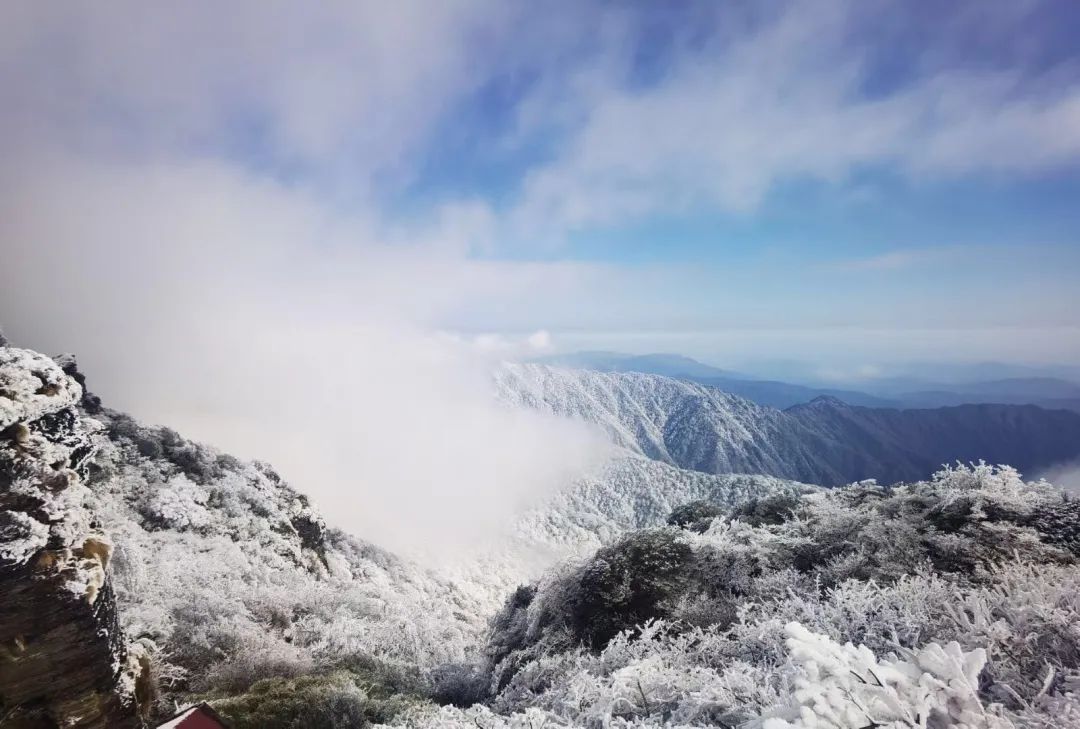 贵州多地迎来新年降雪！雪景太美了！