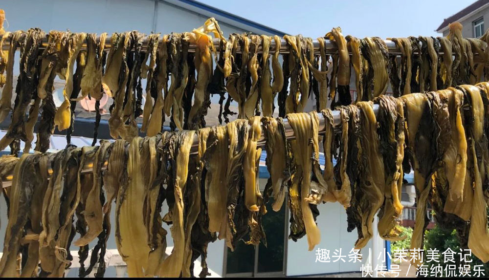 制作梅干|9月,此类菜不怕过期,一次买20斤做成梅干菜,炖肉做馅都特香