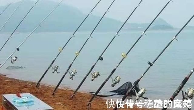据说这钓法专攻“大鲤鱼”,每次抛竿入水都有口,连鲫鱼都不想钓