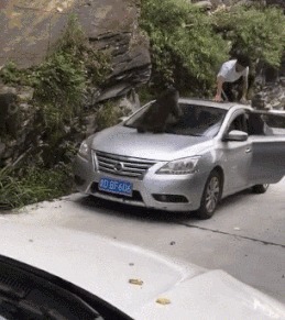 |搞笑GIF:逗什么都行可千万别逗猴子,不然这就是下场