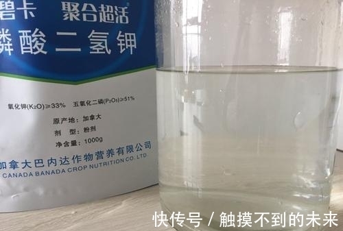 磷酸二氢钾|养花用磷酸二氢钾,不知道这些,花草越长越差!
