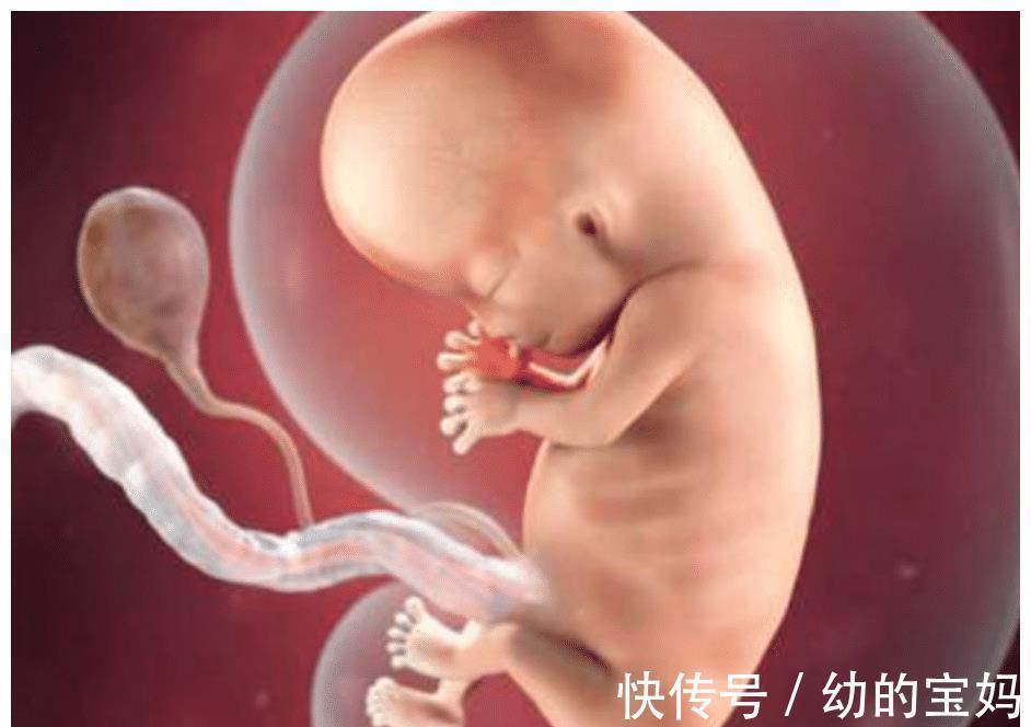 胎儿|孕期胎儿频繁好动,孕妈以为孩子很健康,产检后医生建议不能留
