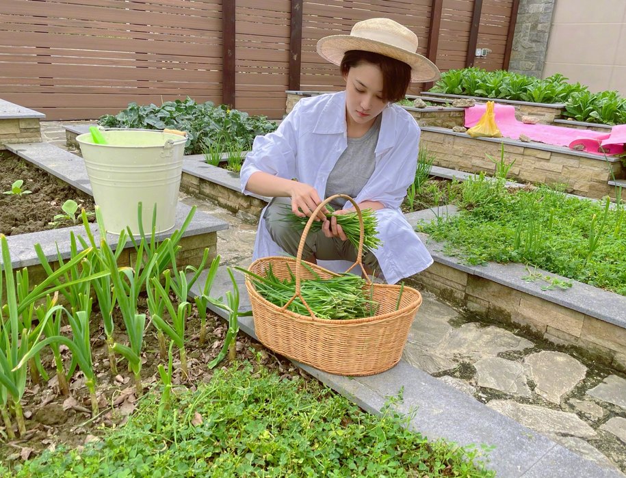 《号手就位》播出后，张馨予医生造型成功出圈，网友：不愧是军嫂