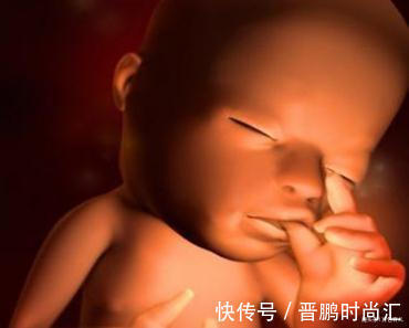 肚子|除了睡觉，胎儿在妈妈肚子里干啥呢？每个妈妈都应该看看