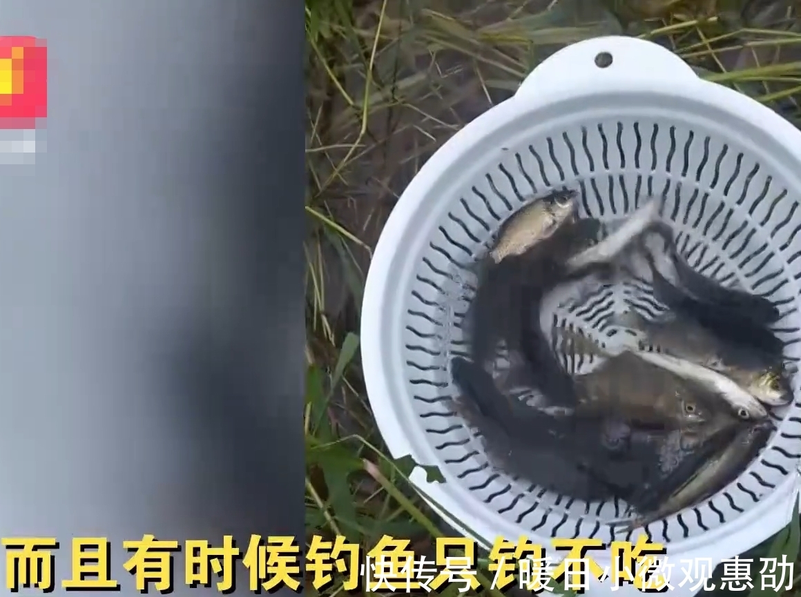 倾盆大雨|江苏一男子冒倾盆大雨钓鱼，纹丝不动，妻子：钓上来还放回去