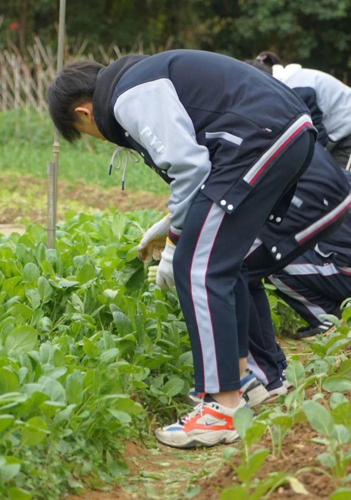  炊火|炊火中寻人间味 擘山尽探自然谜