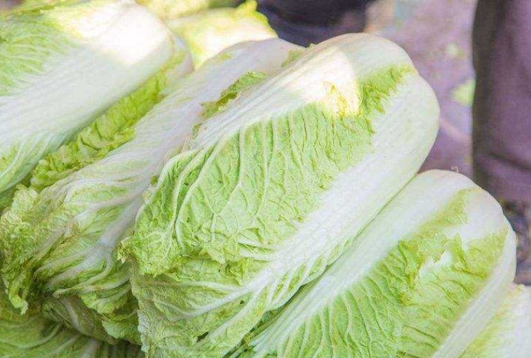 小知识|吃完大白菜后要当心，切忌碰此物，有很多人不清楚，分享给身边人