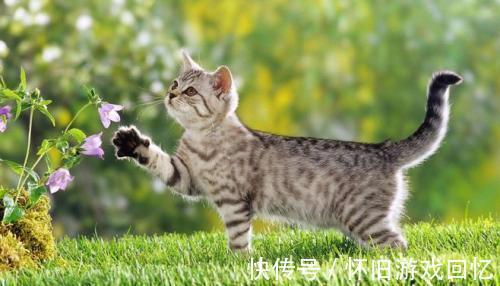 |幽默笑话:大学毕业后,我和发小在同一家公司工作。经过我俩商量