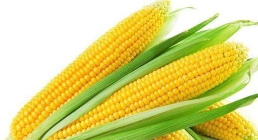 大师是这样用玉米钓鱼的,以及老坛玉米的制作方法