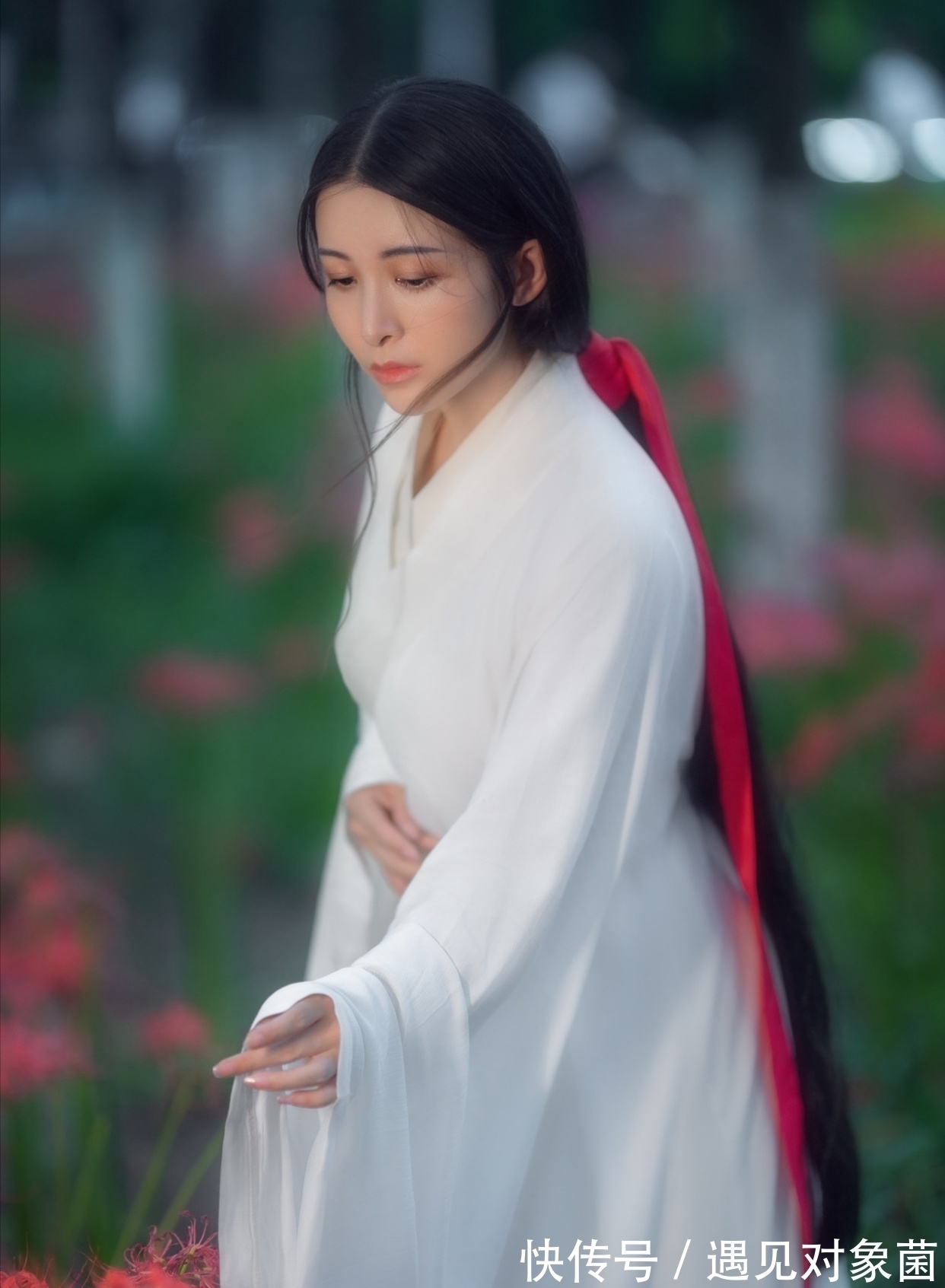 鸣蛙@诗·八首丨朝游野岭寻佳句,晚向渔樵举酒壶