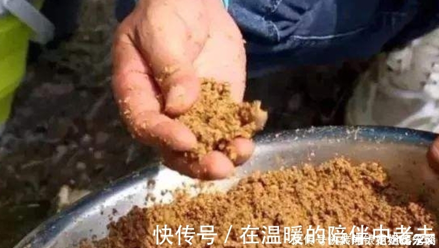 钓了三十年鱼，如今才公布：这诱鱼“八字诀”简单又实用，莫忽视