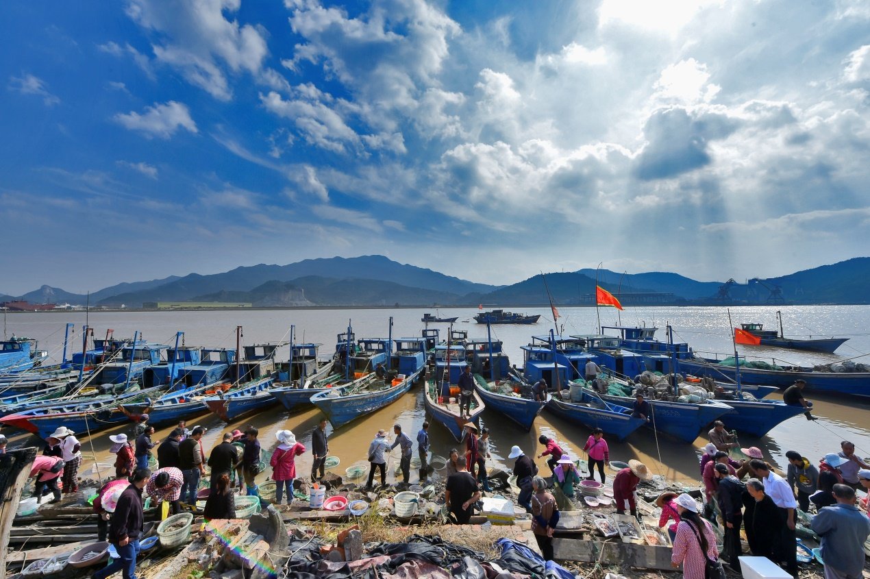 d25 跨越山海尽鲜甜