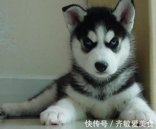 |幽默笑话:周末回家,和爸妈一起看电视老爸意味深长的盯着我