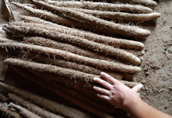 秋季|秋季进补,建议多吃这些特色食品,营养美味又便宜,你吃过几样