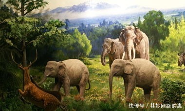 古蜀|历史那些事之“古蜀文明”篇