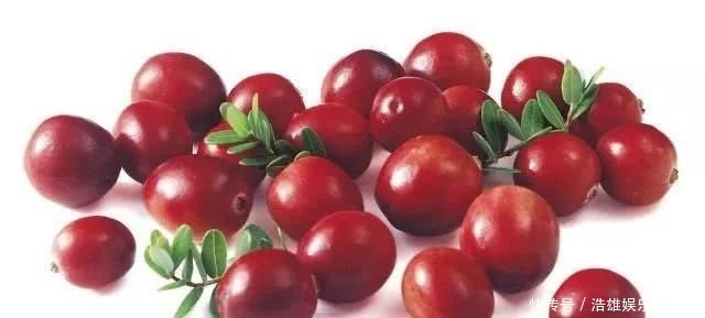 草莓|名字里带“莓”的水果,说出5种送你一辆保时捷,除了草莓还知道