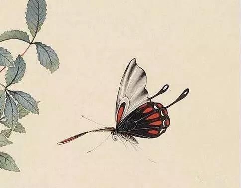 俞致贞|收藏!国画蝴蝶纸上来感觉蝴蝶在动,太逼真了!