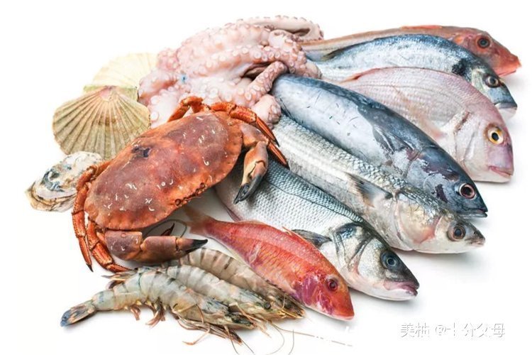 饮食|女人在怀孕阶段,尽量远离4类食物,易影响胎儿发育、带来损伤