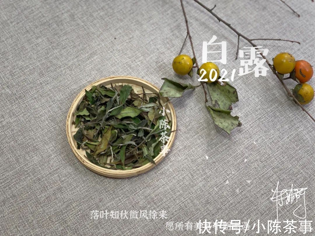 花香&漫长炎热天气的产物，茶汤带着花蜜般的鲜甜，2021白露茶我见犹怜