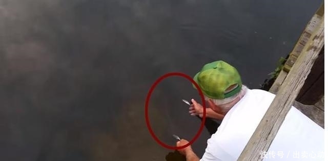 大鱼|一男子拿着小鱼跪在水边,把小鱼放在水上,结果换来了条大鱼