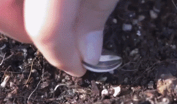 |搞笑GIF:自从生二胎得了女儿了之后,家里大儿子的地位