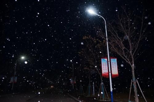 冬夜|冬夜霜雪落满头，我与巢院共白首