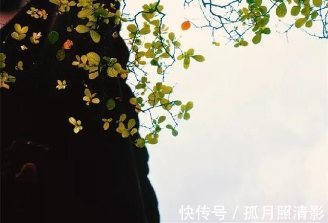 福报#千古奇文《心相篇》20句话,看透人性,诠释人生,百读不厌