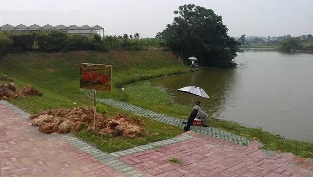 凸包|4个野钓黄金钓位,除了这些位置,其他钓位都是垃圾!