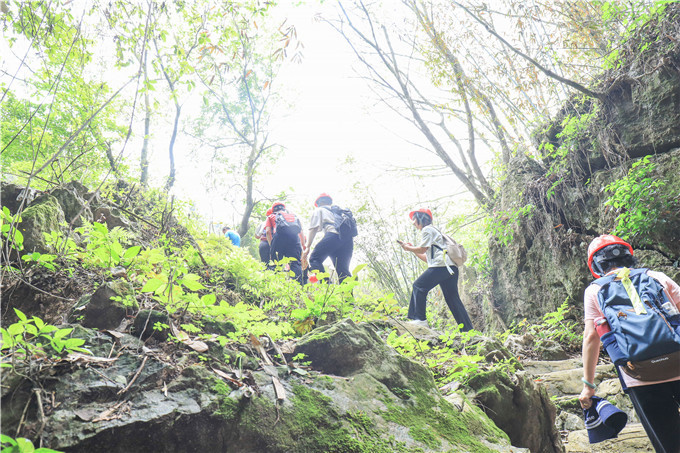 银杏|银杏流丹，雄关漫道，清远阳山县成了广东赏秋热门地