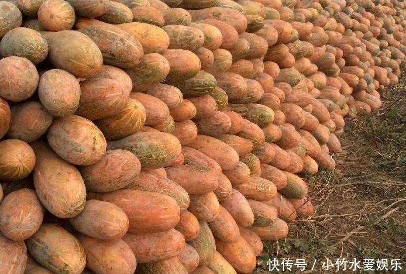 营养|家里再穷,“咬咬牙”也要给孩子吃这些食物,好吃不贵益处多