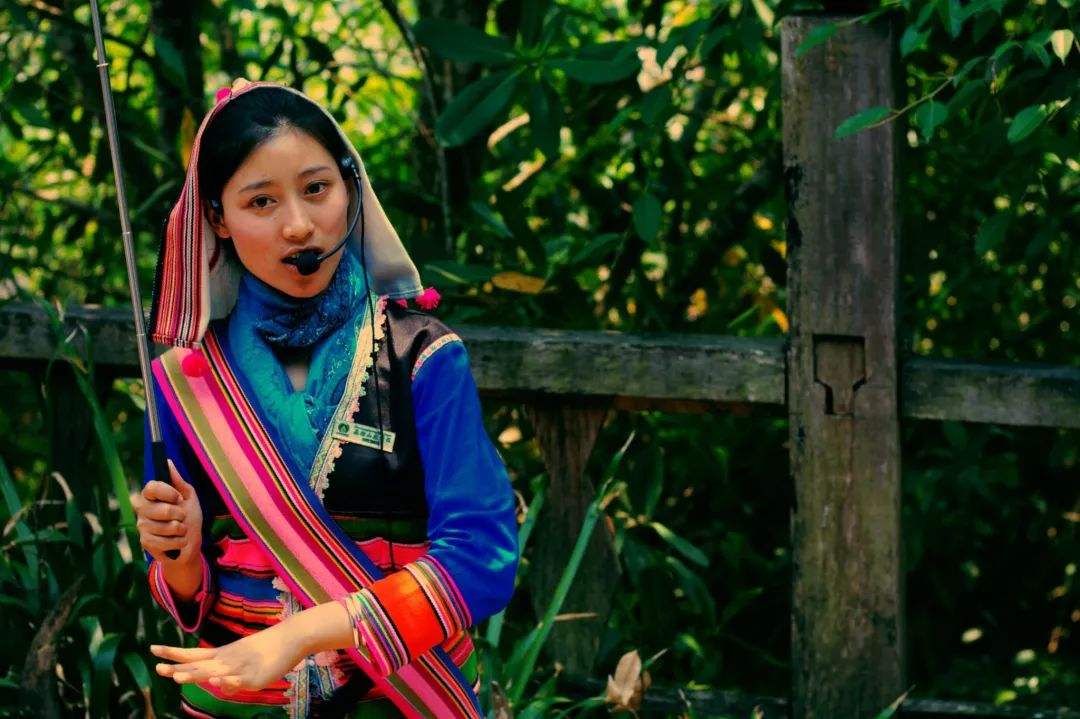 游客|游客花钱报团旅游，还要被导游坑钱消费？