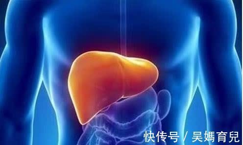 黄金期|早上养肝黄金期,多吃4种食物,你的肝脏会感谢你的