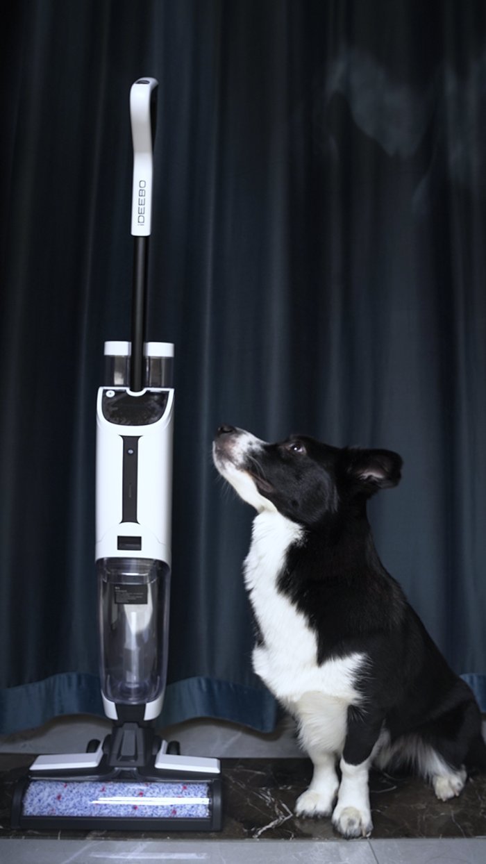 滚刷|全屋清洁一遍搞定 费时费力拖地的时代过去了 洗地机成为市场新宠