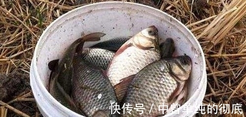 冬季野钓口诀知多少