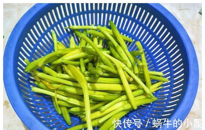 美味|黄花菜是花又是菜，可不能随便吃，教你正确吃法，营养美味