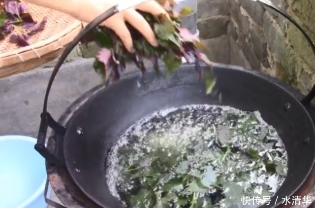 原产中国有两千年历史的香料,种一棵就能吃很多年,浑身都是宝