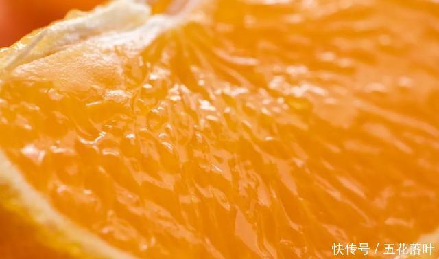 到底|到底多好吃的橙子,才配叫果冻橙