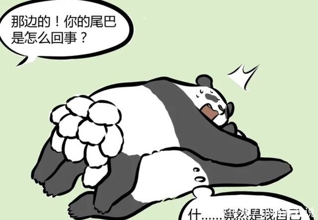 非人哉：哮天和十一月去动物园假扮大熊猫，可是不一会就露馅了