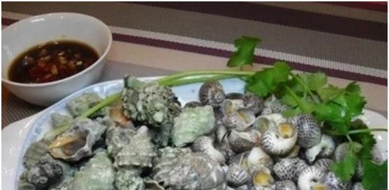 海螺的尾部,是“黄”还是“屎”呢很多人弄错了,不会吃就别吃