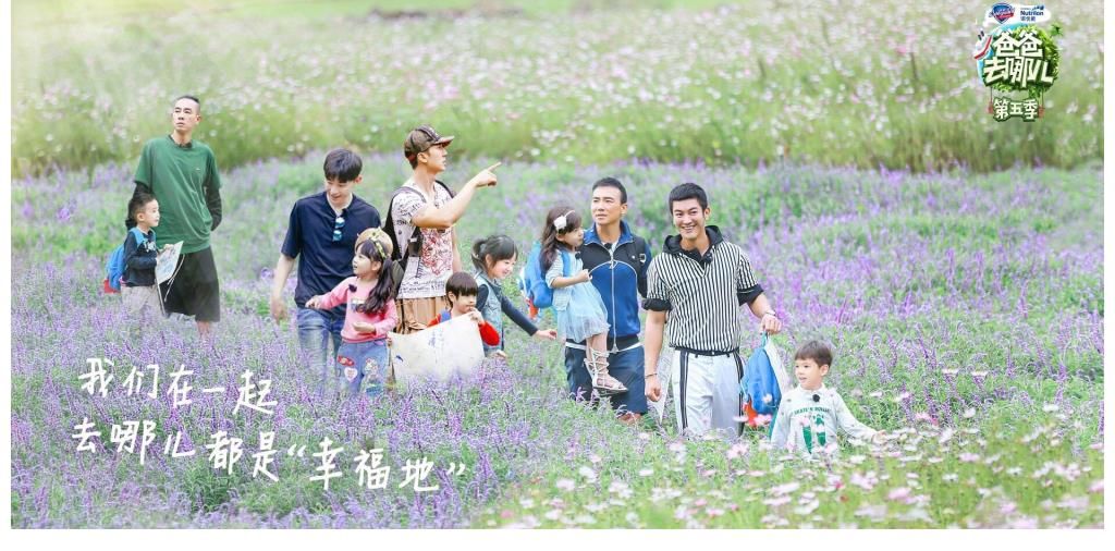 湖南電視臺|各大衛視競爭背后，主持人成關鍵因素：地方臺和央視的區別多大？