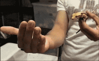 |搞笑GIF:努力的妹纸,收获好身材